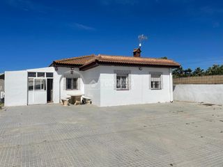 Rent Country house in Pelagatos - Pago del Humo. Casa rural en alquiler en chiclana de la frontera