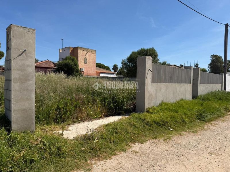 Foto 11e6d975-6e14-491a-8df6-f4285d05f2f7. Finca rústica a Las Lagunas - Campano Chiclana de la Frontera