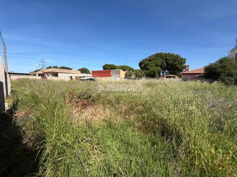 Foto 1ce419e7-a7d5-4167-99a5-64f2c9d8850d. Finca rústica a Las Lagunas - Campano Chiclana de la Frontera