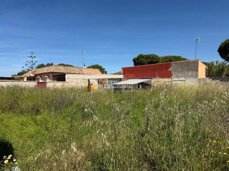 Foto 50e0ce7f-49c8-4e23-a203-796c0a61682d. Finca rústica a Las Lagunas - Campano Chiclana de la Frontera