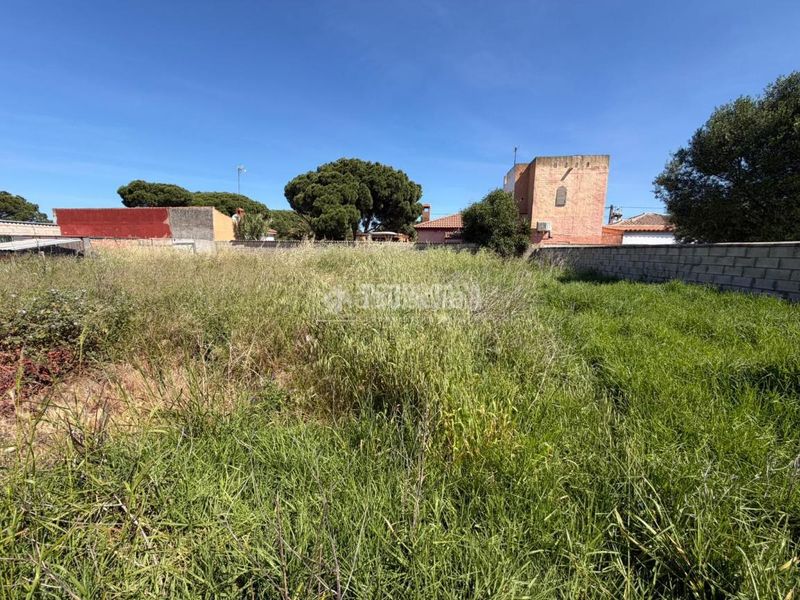 Foto 9304d089-6156-4160-b67a-91538ad65d7c. Finca rústica a Las Lagunas - Campano Chiclana de la Frontera