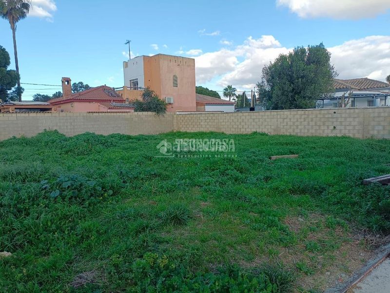 Foto a8cf33bb-ab39-4b9b-bb33-ad41acd13391. Finca rústica a Las Lagunas - Campano Chiclana de la Frontera