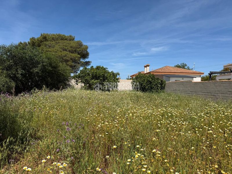 Foto 8b994d84-6c0d-4997-8204-758e2e3925cb. Finca rústica a Pelagatos - Pago del Humo Chiclana de la Frontera