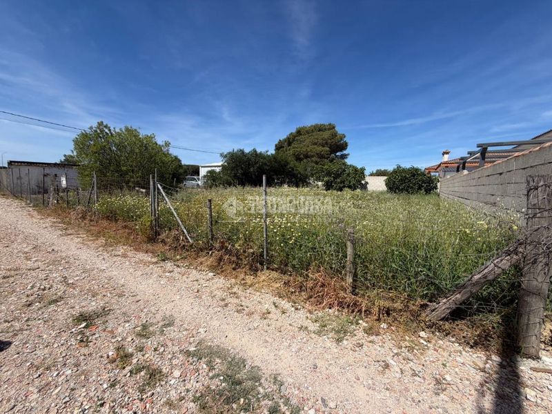 Foto a0f2f42b-b179-45ce-92d5-ac49b6bf0b2c. Finca rústica a Pelagatos - Pago del Humo Chiclana de la Frontera