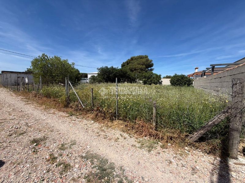 Foto dd088eda-3a48-4b13-9766-2dc830645004. Finca rústica a Pelagatos - Pago del Humo Chiclana de la Frontera