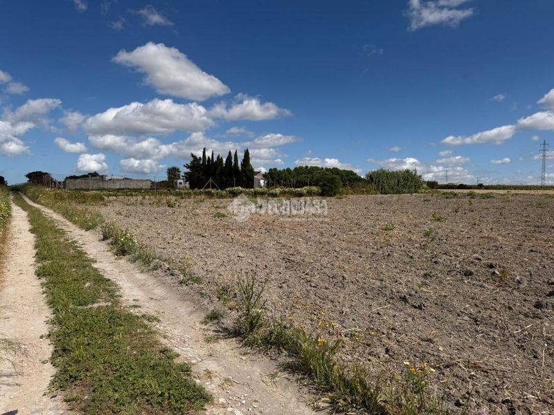 Foto 06471950-26ef-4e50-9561-883d7e419d7e. Finca rústica a Núcleo urbano Chiclana de la Frontera