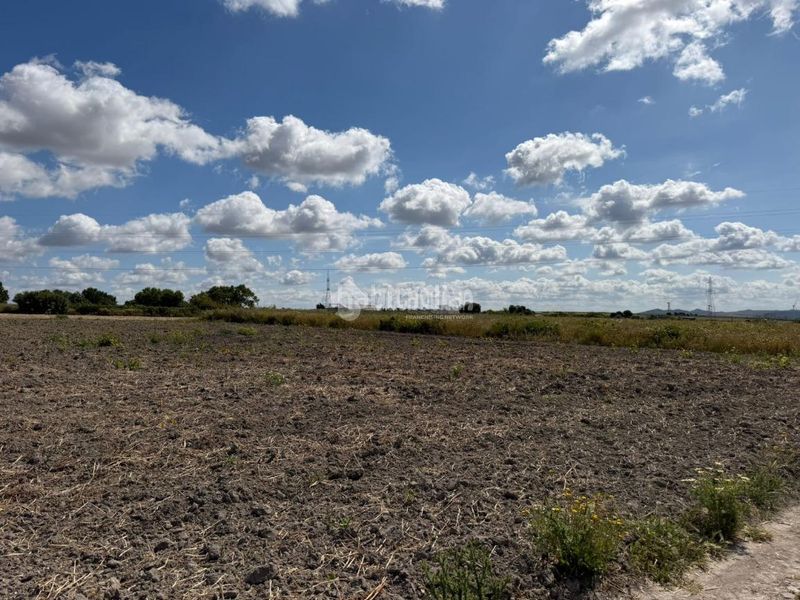 Foto 32a74bfa-8254-4cd7-a4d6-df659e709bf0. Finca rústica a Núcleo urbano Chiclana de la Frontera
