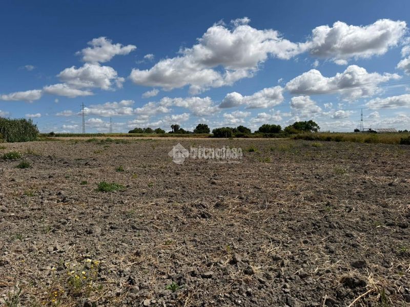 Foto 5702a29d-e7b6-473b-be87-79a26d247f37. Finca rústica a Núcleo urbano Chiclana de la Frontera