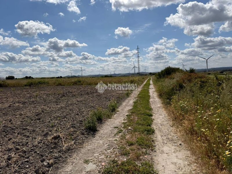Foto 88c757d4-44c5-466b-9582-5b69ff12623a. Finca rústica a Núcleo urbano Chiclana de la Frontera