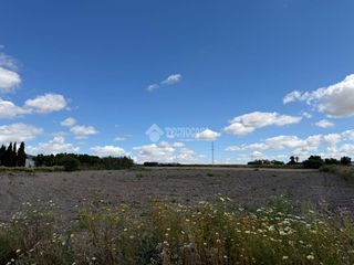 Finca rústica a Núcleo urbano. Terrenos en venta en chiclana de la frontera