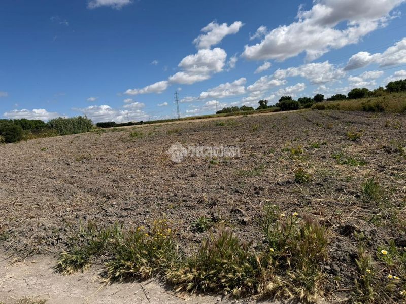 Foto fe77df20-3c44-4aa6-ae29-628c4223c2c4. Finca rústica a Núcleo urbano Chiclana de la Frontera