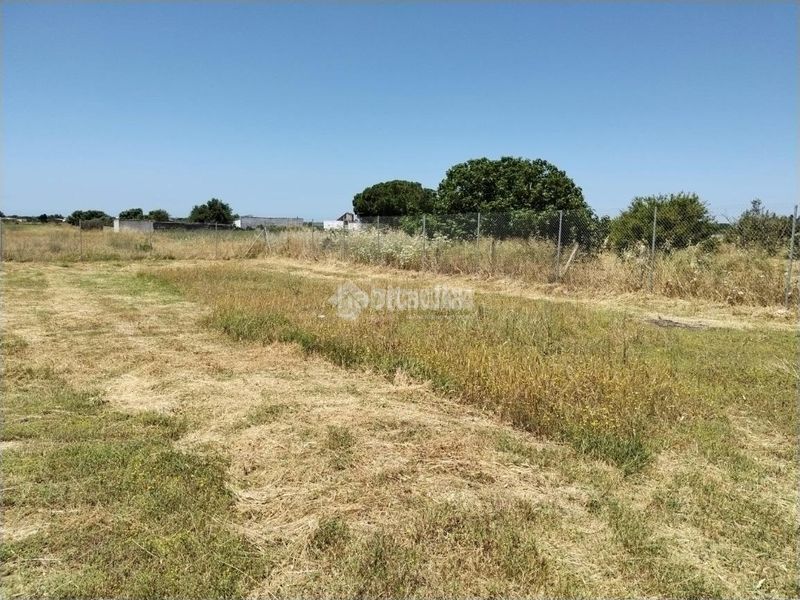 Foto 46398e71-1674-4957-bd89-7028d53ffc62. Finca rústica a Las Lagunas - Campano Chiclana de la Frontera