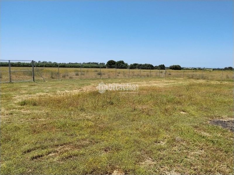 Foto c3f5f4e9-9473-46b8-ae02-e34f7fb7aac1. Finca rústica a Las Lagunas - Campano Chiclana de la Frontera