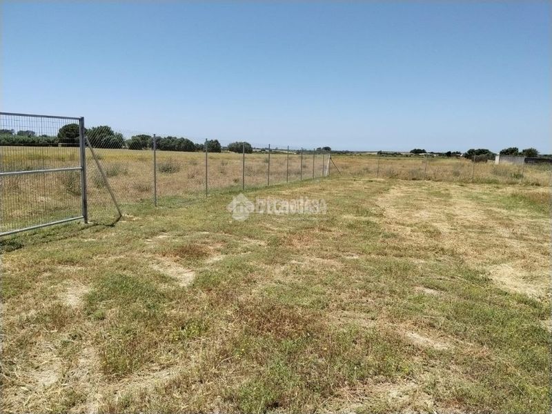Foto e1eacf7d-1cb5-4861-ad14-1b8e7e46cade. Finca rústica a Las Lagunas - Campano Chiclana de la Frontera