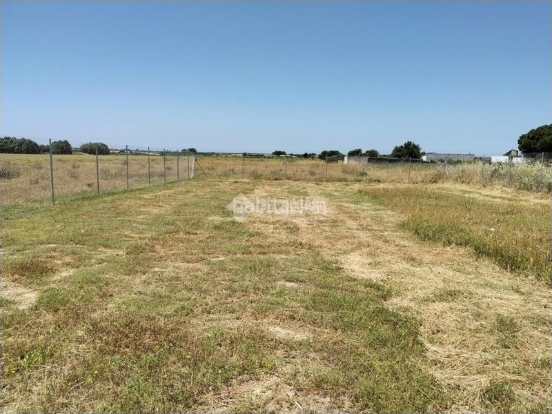 Foto ec7df283-e08d-48ba-ad27-98cd7c67c737. Finca rústica a Las Lagunas - Campano Chiclana de la Frontera