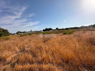 Fondo rustico in Los Franceses - La Vega. Terrenos en venta en chiclana de la frontera