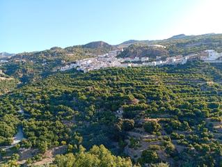 Masía  Camino de otivar a granada. Cortijo con finca con bellas vistas en otivar