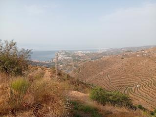 Propriété à Ítrabo. Finca agricola urbanizable en itrabo, las golondrinas