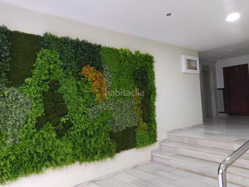 Foto 4f976eff-0715-4b78-bbe4-658bd0159b3b. Rent flat in Almuñecar centro Almuñécar