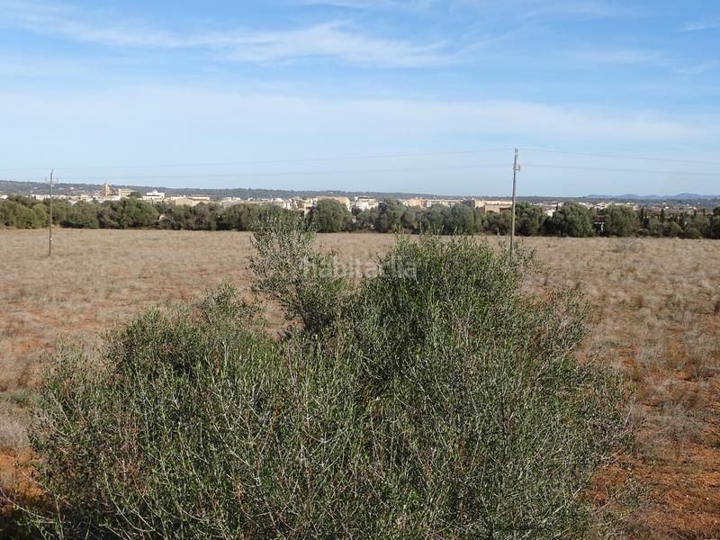 Foto 300607bd-d5dc-4229-a053-95fb29627ded. Casa amb xemeneia a Campos