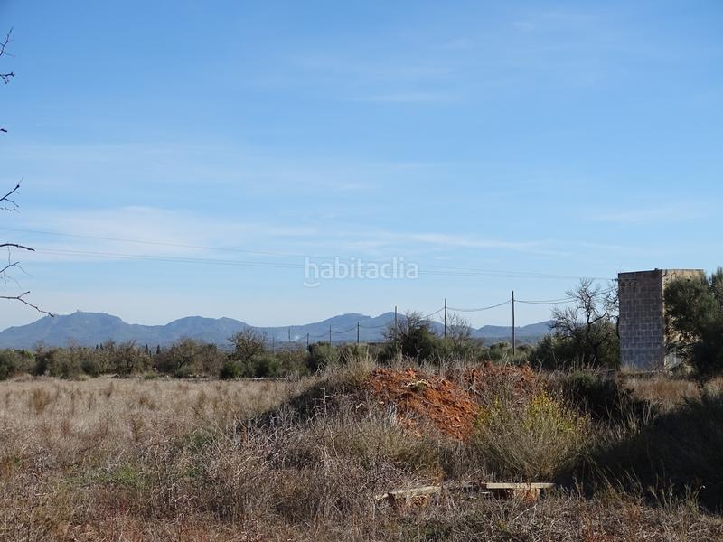 Foto c1f204ee-4e10-4ad2-8d15-fe93706ebb9d. Casa amb xemeneia a Campos