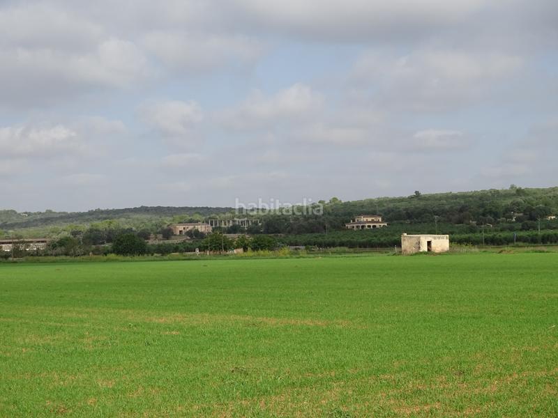 Foto 5eb0c745-03ad-4968-9932-e79d5696c59e. Landgut in Felanitx poble Felanitx