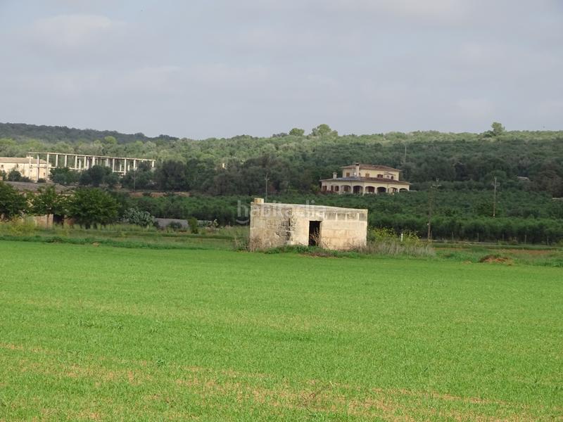 Foto ab2f8a97-ea46-4852-9c37-6320e5687b85. Landgut in Felanitx poble Felanitx