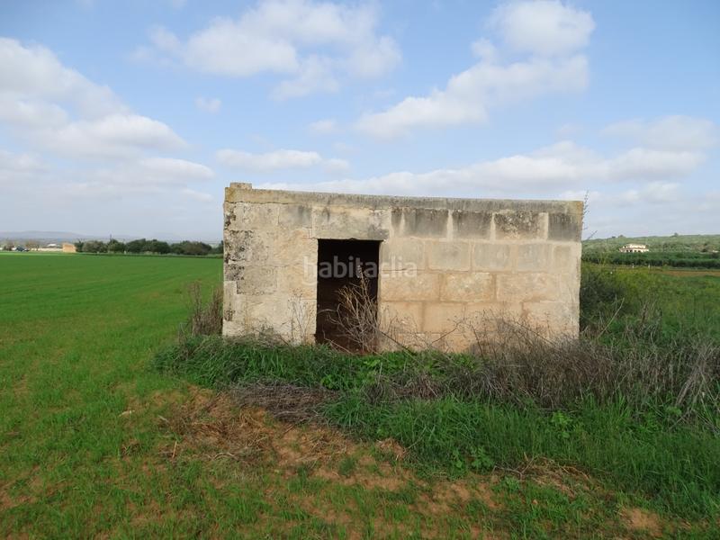 Foto e0efc124-708a-4d46-af70-bd3b0a3f1b75. Landgut in Felanitx poble Felanitx