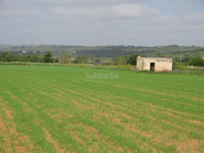 Foto 3b36bee8-0a57-4a28-9f3f-8d8a3ad64fa3. Finca rústica a Felanitx poble Felanitx
