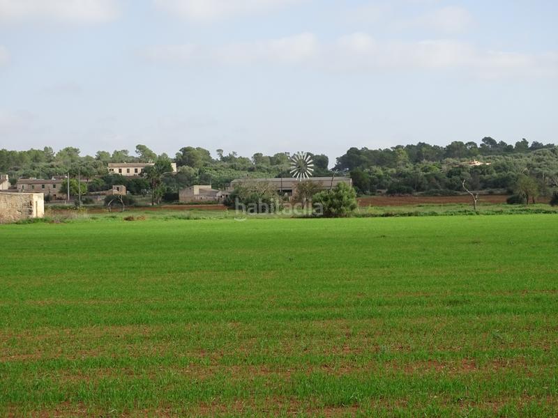 Foto 7519eb79-9173-4fc2-9324-f7522225b312. Finca rústica a Felanitx poble Felanitx