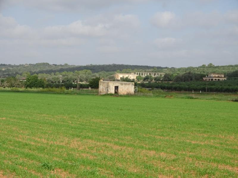 Foto ee809963-9824-401e-b533-505c8ed79b62. Finca rústica a Felanitx poble Felanitx