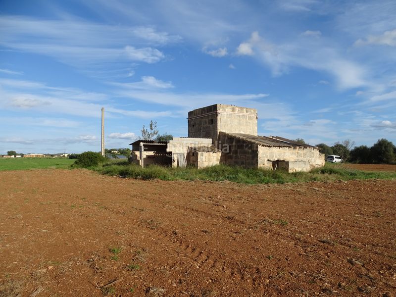 Foto 43042fc4-1c79-460d-8934-cd222da9cbbf. Finca rústica a Santanyí poble Santanyí