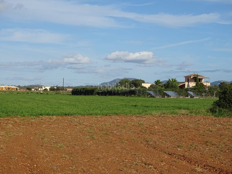 Foto c05ce9fb-8371-40d5-bd13-194476f75c71. Finca rústica a Santanyí poble Santanyí