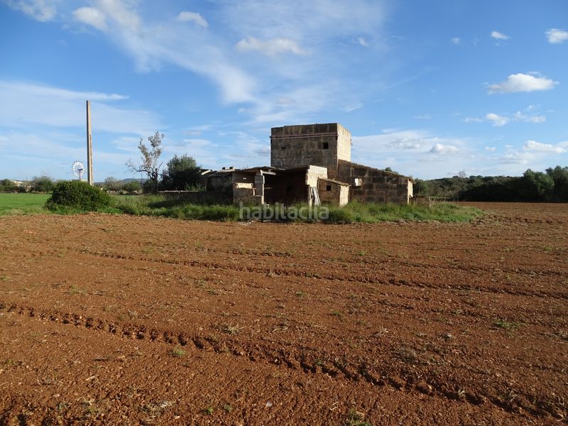 Foto d7f70fdd-4d77-47c9-8543-37305608b206. Finca rústica a Santanyí poble Santanyí