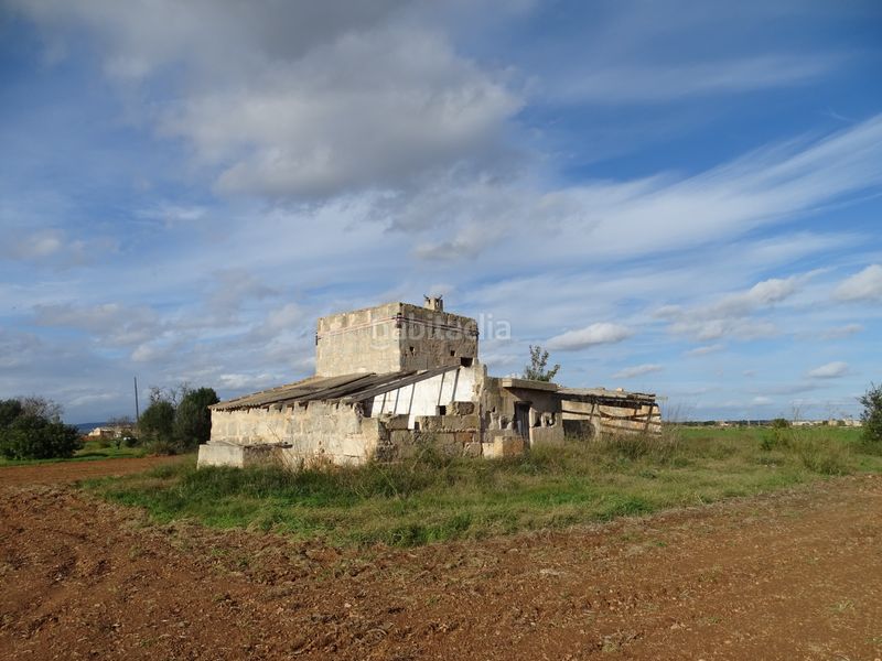 Foto dddde699-f41e-4d11-ae88-95d4ae6476ed. Finca rústica a Santanyí poble Santanyí