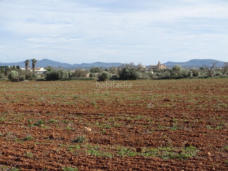 Foto 250e3e1f-84ed-4039-87b7-3878a79707c2. Finca rústica en Campos