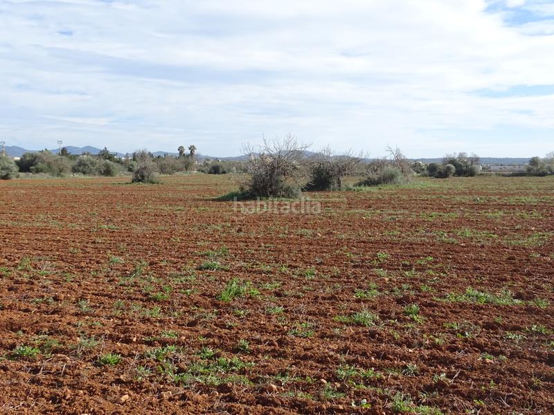 Foto 3ca75ebb-08ce-4af3-9693-170fb02d5469. Finca rústica en Campos