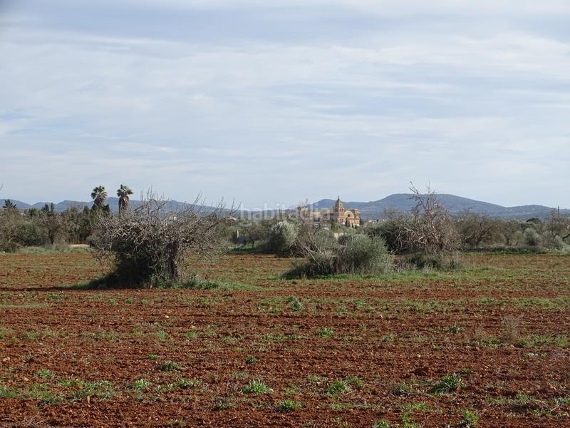 Foto 3dbbd29c-2d2f-428d-bfb6-301f3e7c7b74. Finca rústica en Campos