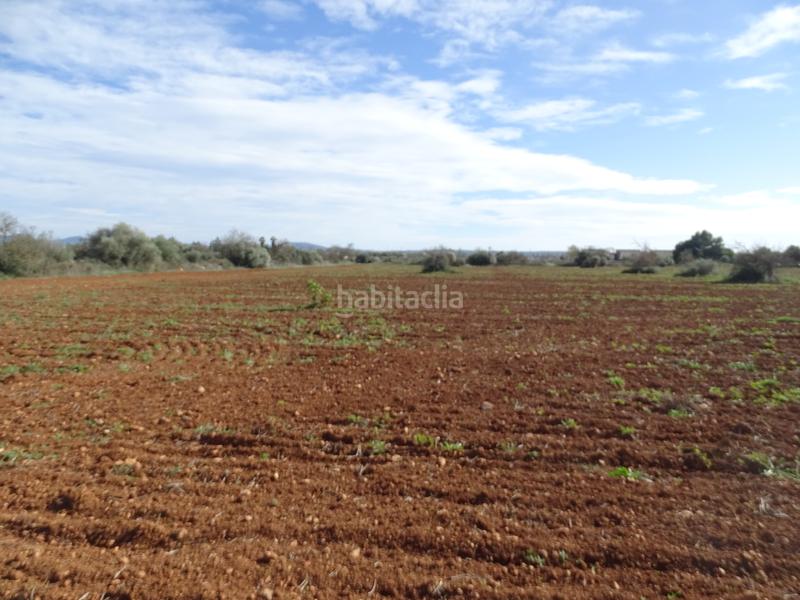 Foto 436438a1-50e3-4ddd-81ec-2c6cd895c859. Finca rústica en Campos