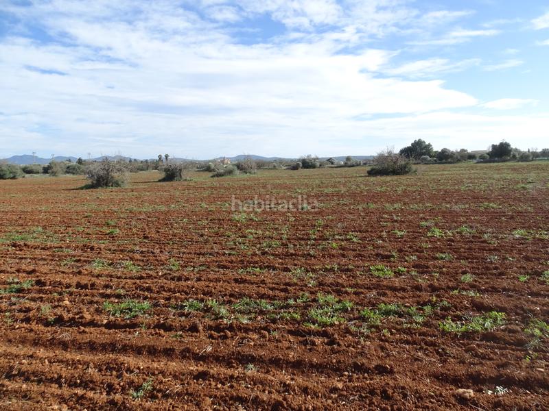 Foto 45b61e50-5305-4c02-81e0-bff4cc9f32be. Finca rústica en Campos