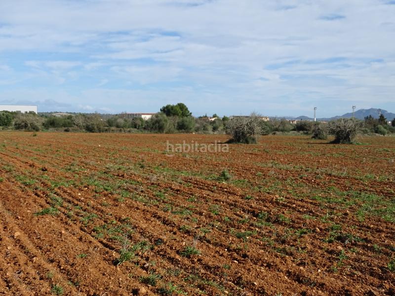 Foto 64e4b88f-fbff-4dec-af24-d9f9b30c8c8c. Finca rústica en Campos