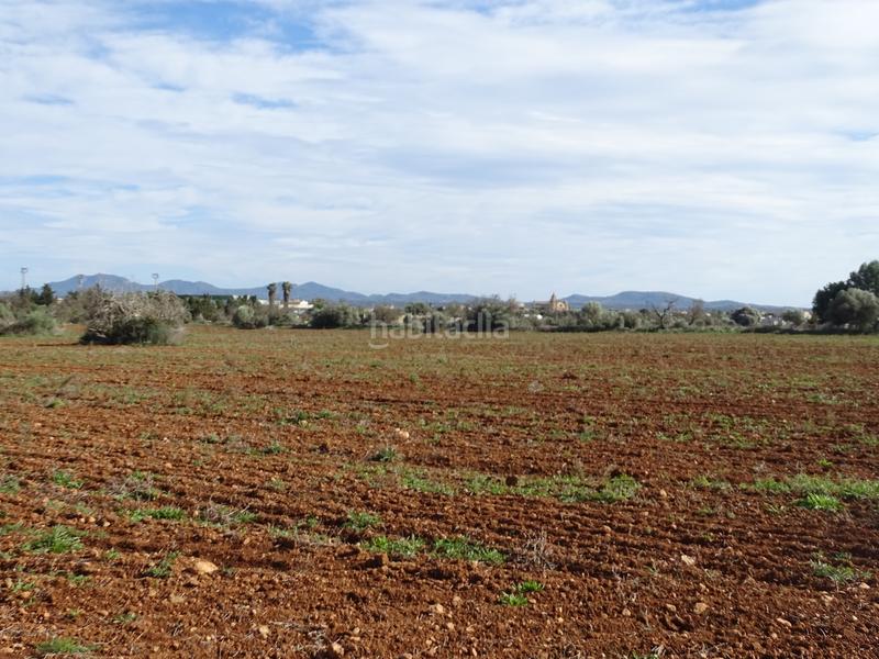 Foto 6988470e-9b57-419d-a27b-e6f70bab909c. Finca rústica en Campos