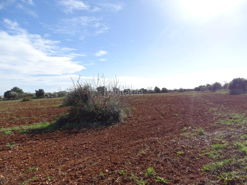 Foto 83d1915a-4a35-4033-99a4-9ab1bc33f16e. Finca rústica en Campos