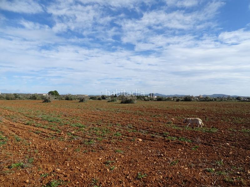 Foto 9cc7408a-5bf4-4986-a196-9af023201b77. Finca rústica en Campos