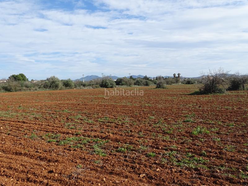 Foto d5fe4e05-4aa2-4941-b297-af48a0b9522e. Finca rústica en Campos