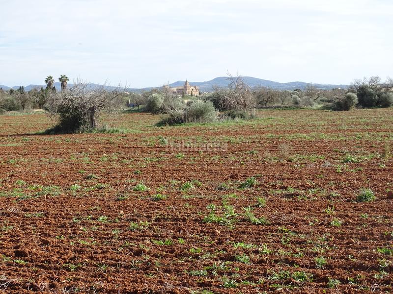 Foto d9bd4c2a-88d2-4e65-adb5-b63e1943c979. Finca rústica en Campos