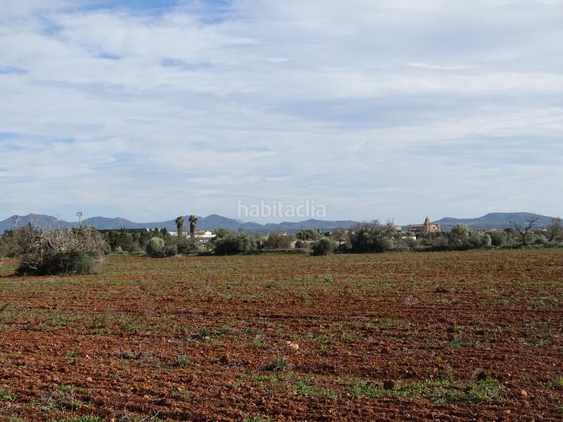 Foto db83afe1-9076-41e0-b8e8-2bb34f1a8c7c. Finca rústica en Campos