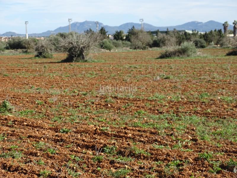 Foto f3a2c145-c639-48e2-bb5f-989f44b5cfc6. Finca rústica en Campos
