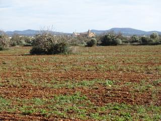 Propriété à Campos