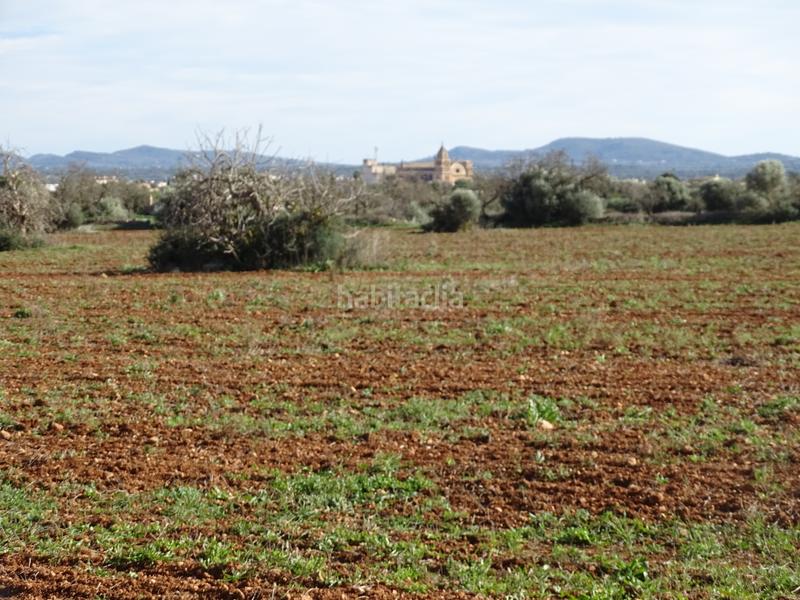 Foto fe1de67d-50e3-40cf-9619-14ddfaf869d8. Finca rústica en Campos